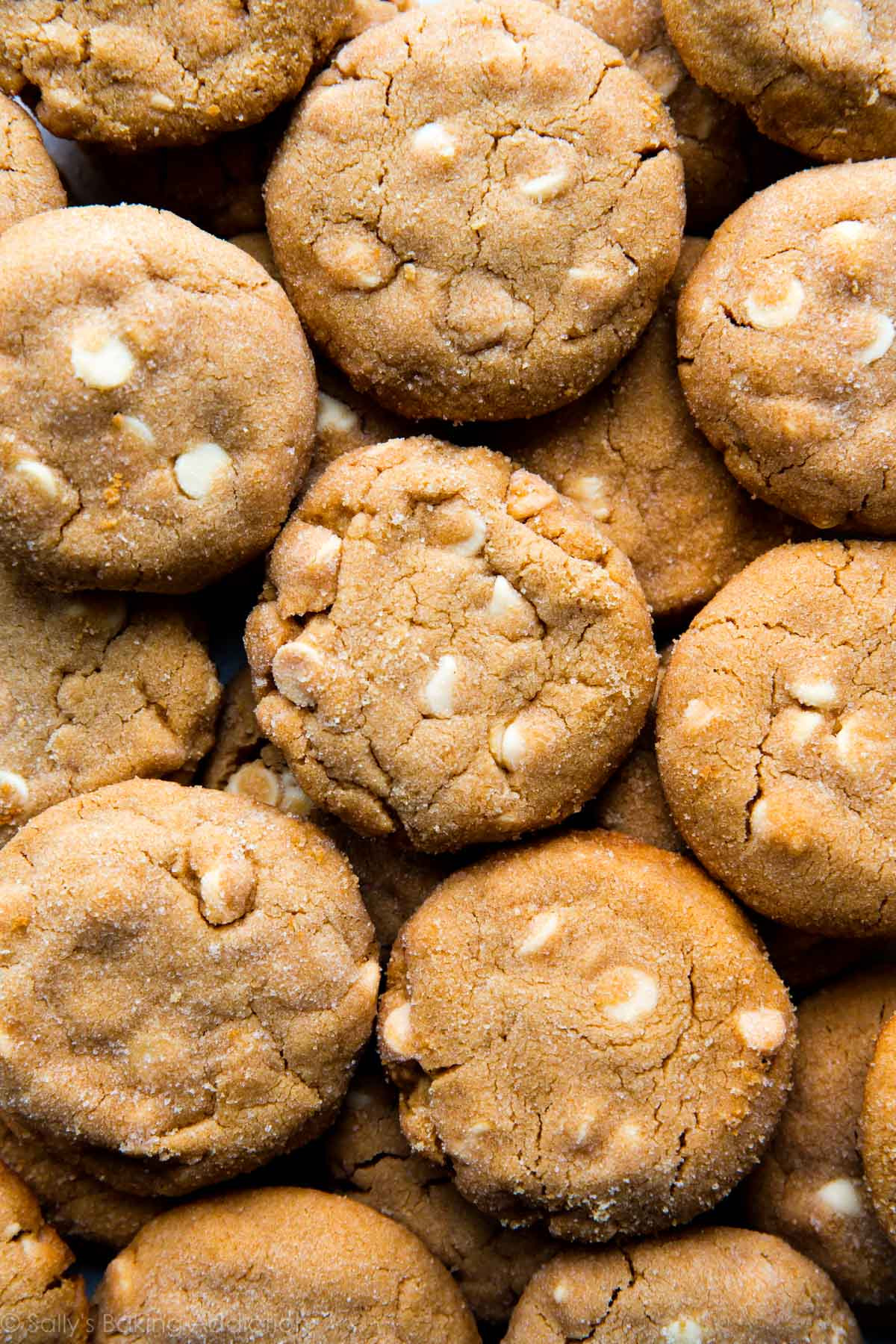 White Chocolate Cookies
 White Chocolate Peanut Butter Cookies Sallys Baking