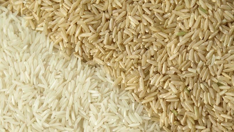 White Or Brown Rice
 White vs Brown Rice Nutritional Facts and Trivia