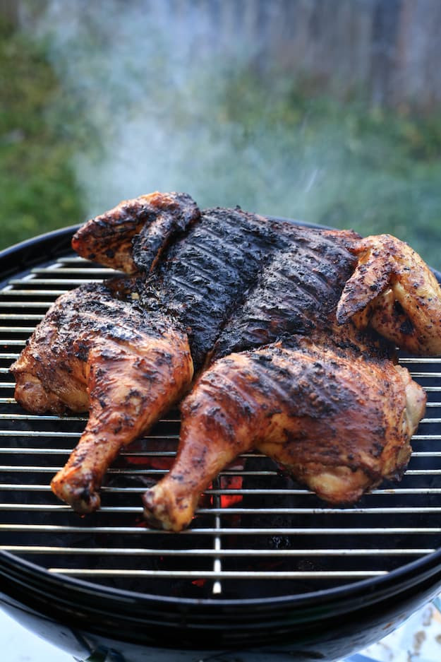 Whole Chicken On The Grill
 Harissa Whole Grilled Chicken