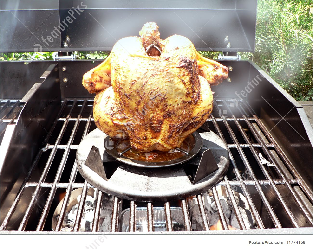 Whole Chicken On The Grill
 Meat Products Grilled Whole Chicken The Grill