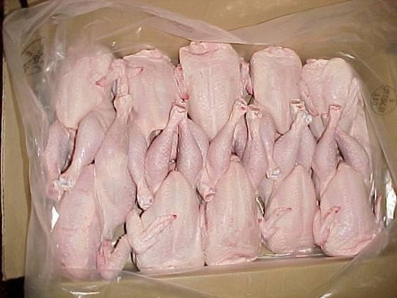 Whole Chicken Price
 WHOLE CHICKEN GRILLERS for sale