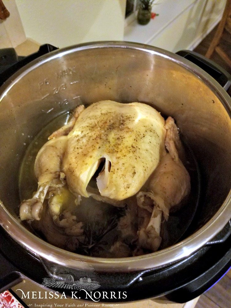 Whole Frozen Chicken In Instant Pot
 How to Cook a Whole Chicken in the Instant Pot
