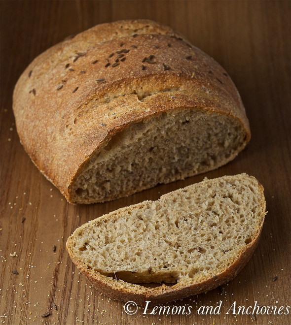 Whole Grain Rye Bread
 No Knead Whole Wheat Rye Bread