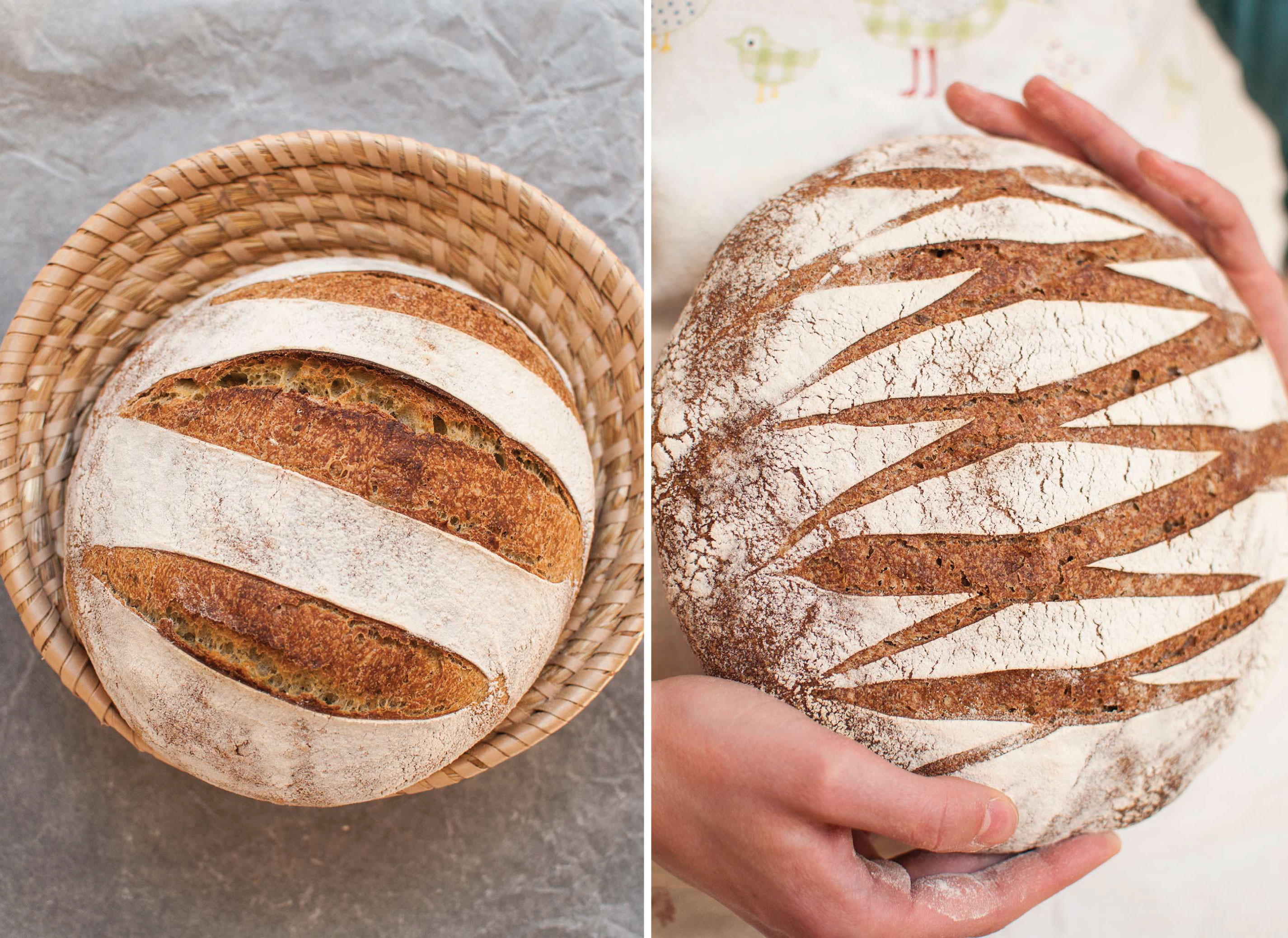 Whole Grain Sourdough Bread
 whole grain wheat sourdough breads with wild garlic