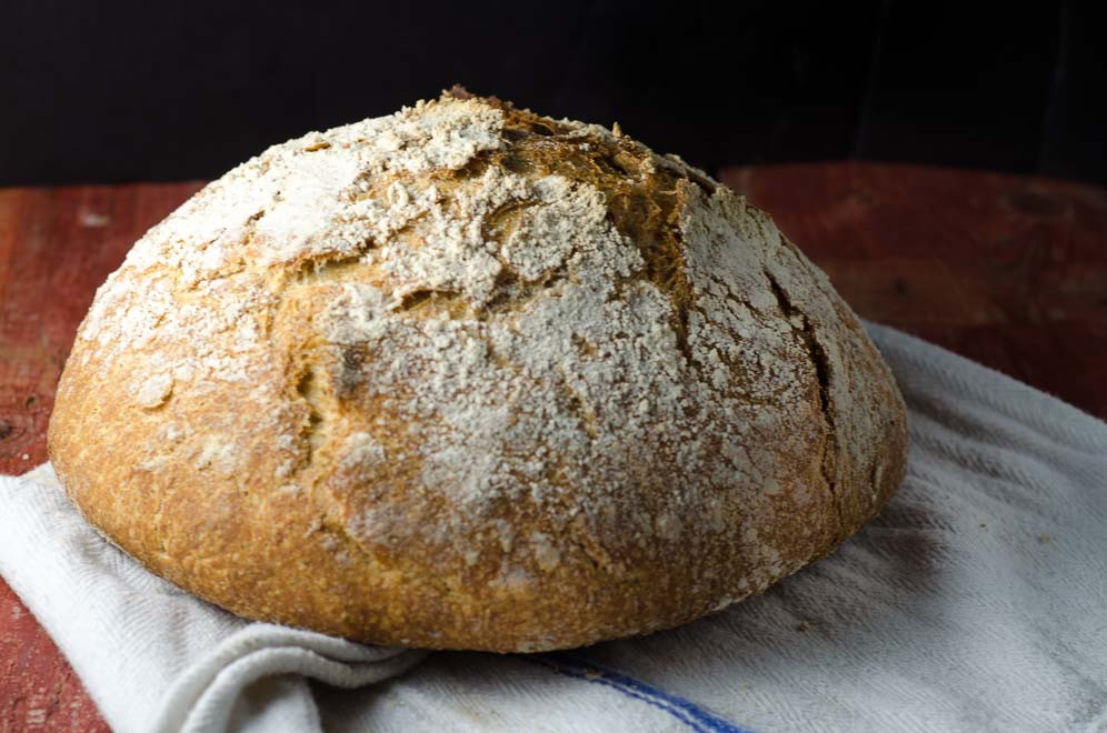 Whole Grain Sourdough Bread
 Our Daily Bread Whole Grain No Knead Sourdough