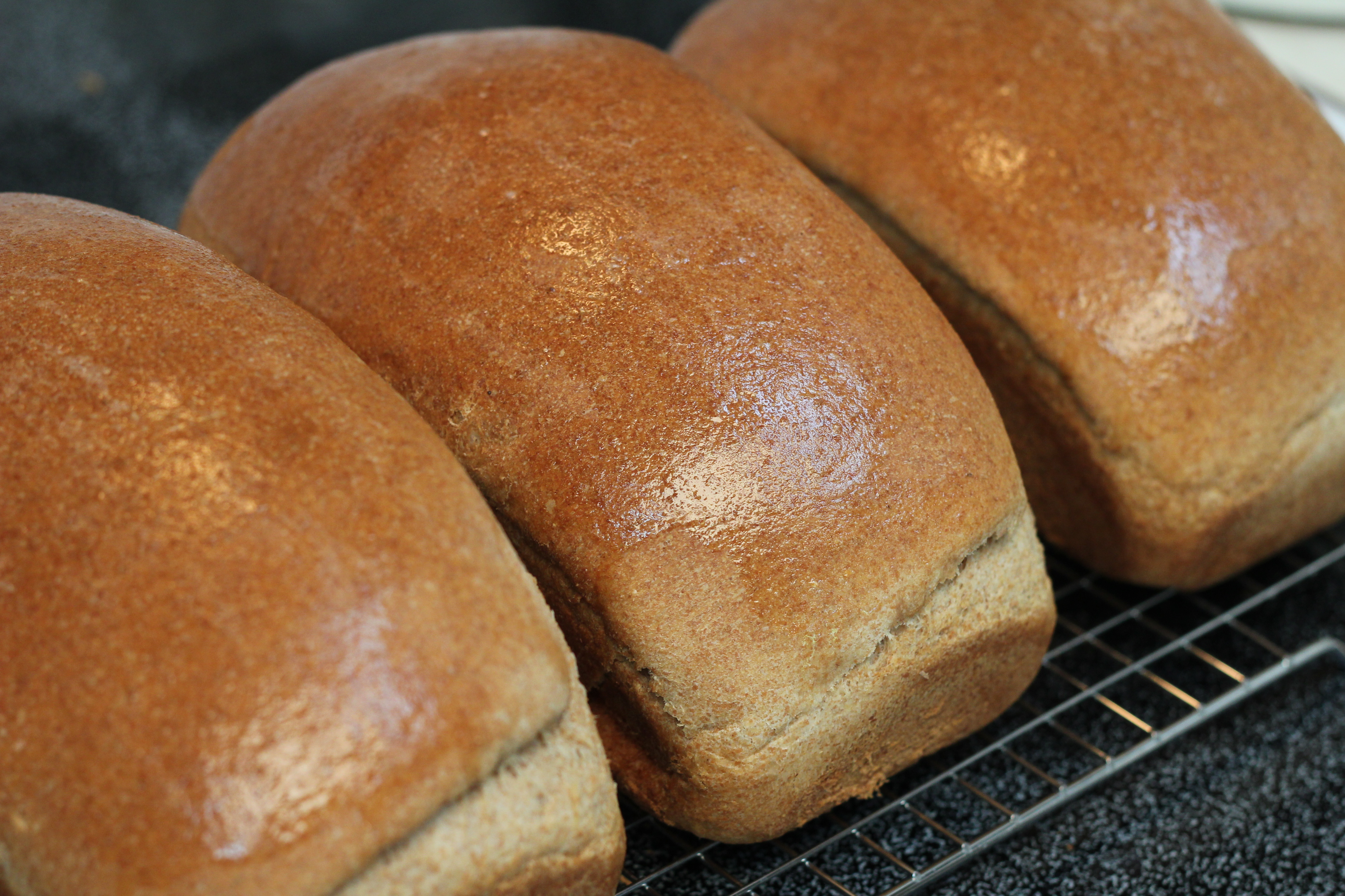 Whole Wheat Bread Recipe
 My Favorite Whole Wheat Bread Recipe With Good to Know