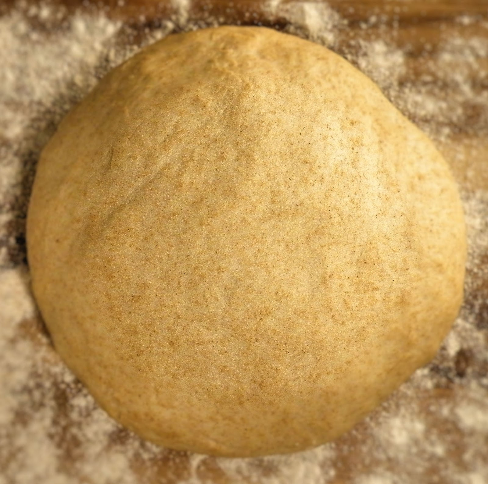 Whole Wheat Pizza Dough
 Vittles and Bits Honey Wheat Pizza Dough