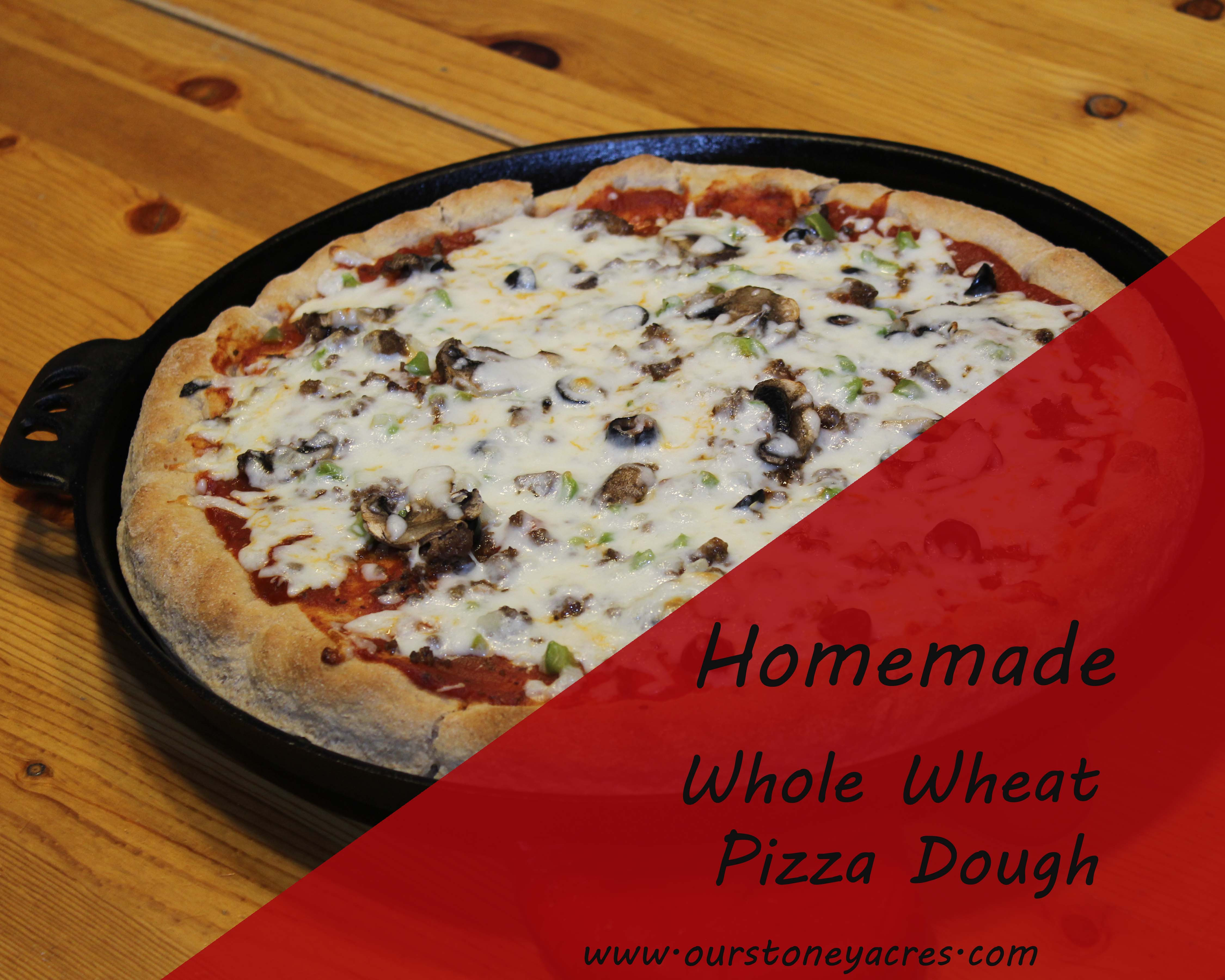 Whole Wheat Pizza Dough
 Homemade whole wheat pizza dough Stoney Acres