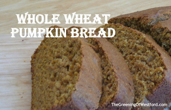 Whole Wheat Pumpkin Bread
 Whole Wheat Pumpkin Bread