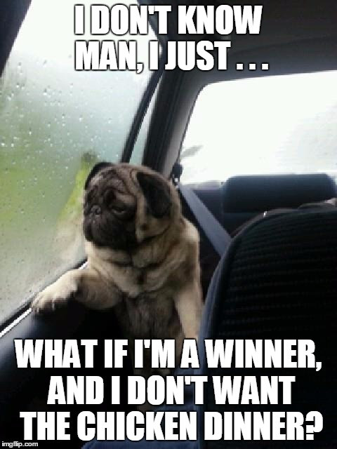 Winner Winner Chicken Dinner Meme
 I didn t choose the pug life Imgflip