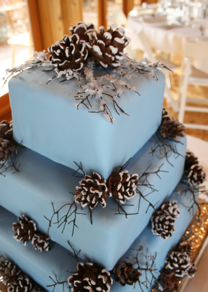 Winter Wedding Cakes
 Winter Wedding Cake Ideas