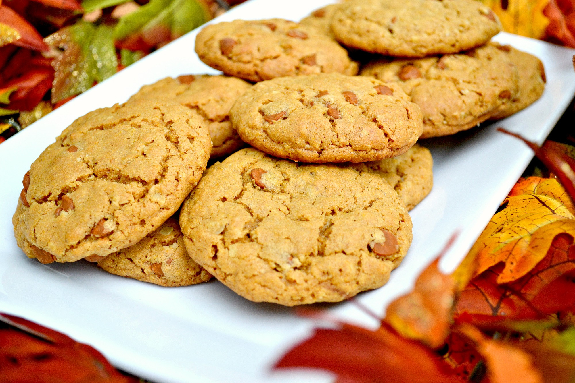 Word Cookies Pumpkin
 oatmeal pumpkin cookies