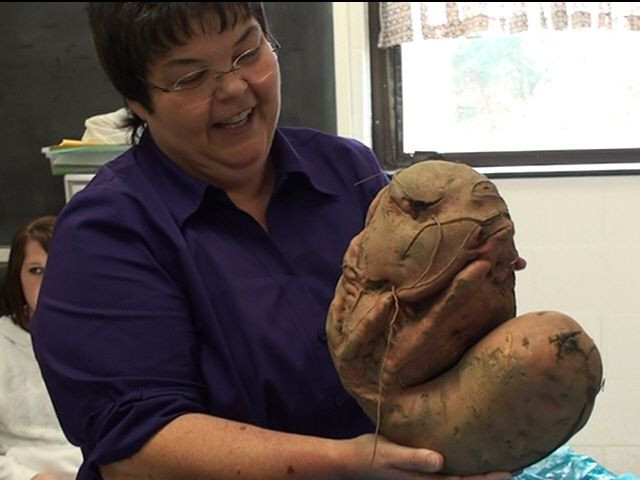 Worlds Biggest Potato
 largest virginia ever largest virginia ever big sweet