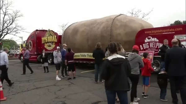 Worlds Biggest Potato
 World s st Potato e News Page VIDEO
