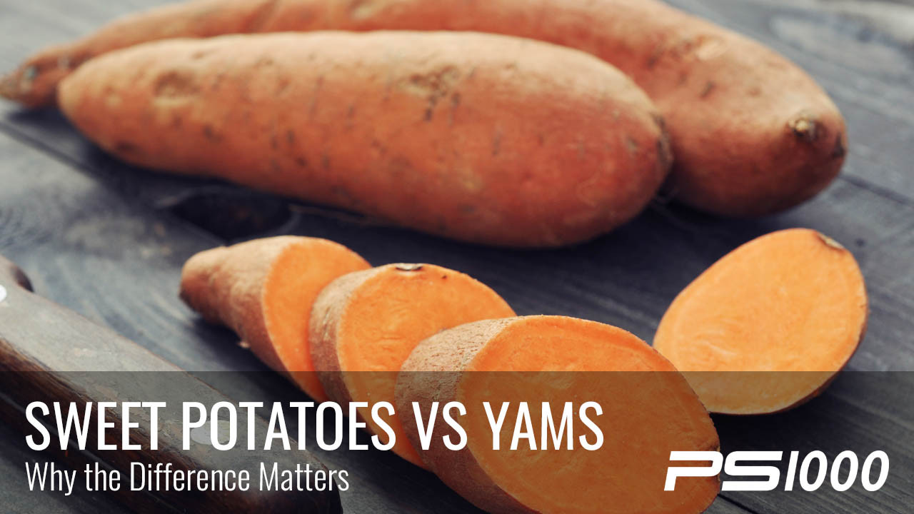Yam Vs Sweet Potato
 Sweet Potatoes vs Yams Which is Better PS1000 Blog