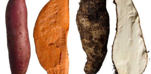 Yam Vs Sweet Potato
 11 Strange Facts About Food The Food You Eat Fact Happy