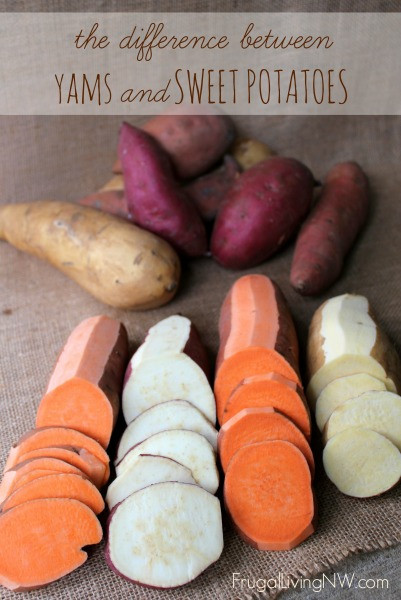 Yam Vs Sweet Potato
 Yams and Sweet Potatoes Is there a difference Frugal