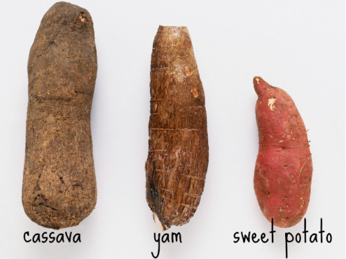 Yam Vs Sweet Potato
 You Say Potato I say “pa TAW toh” – Sweet Potato Recipe