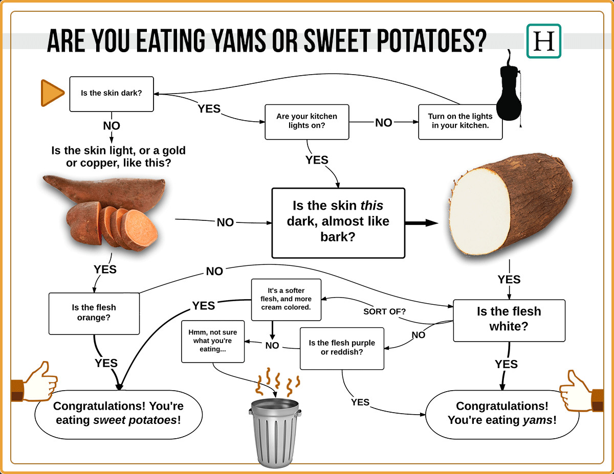 Yams Vs Sweet Potato
 Ellen DeGeneres Doesn t Know Her Sweet Potatoes From Her