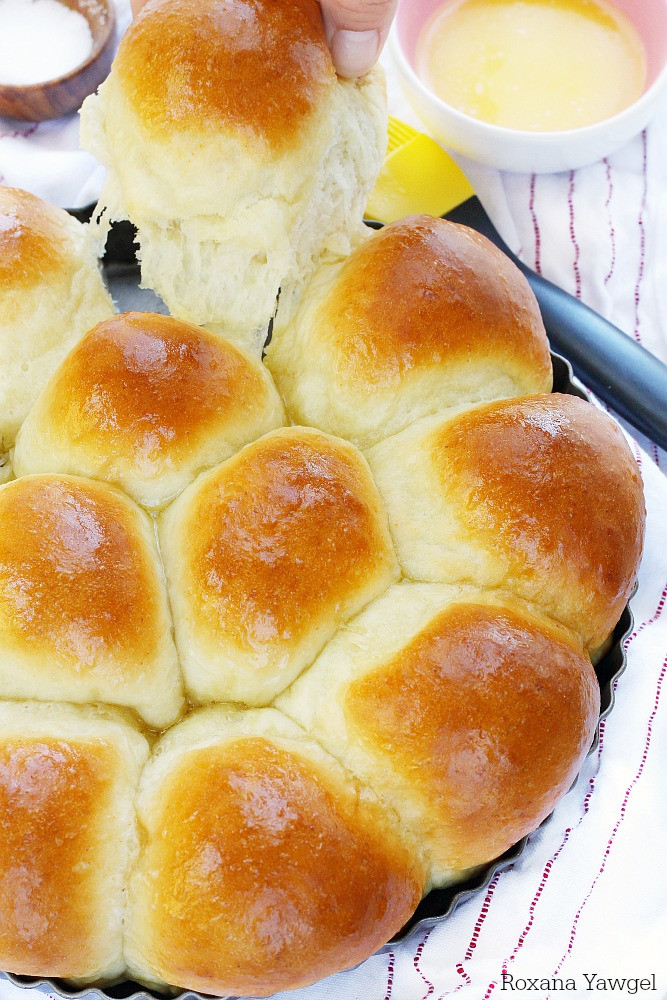 Yeast Dinner Rolls
 Foolproof 30 minute dinner rolls recipe