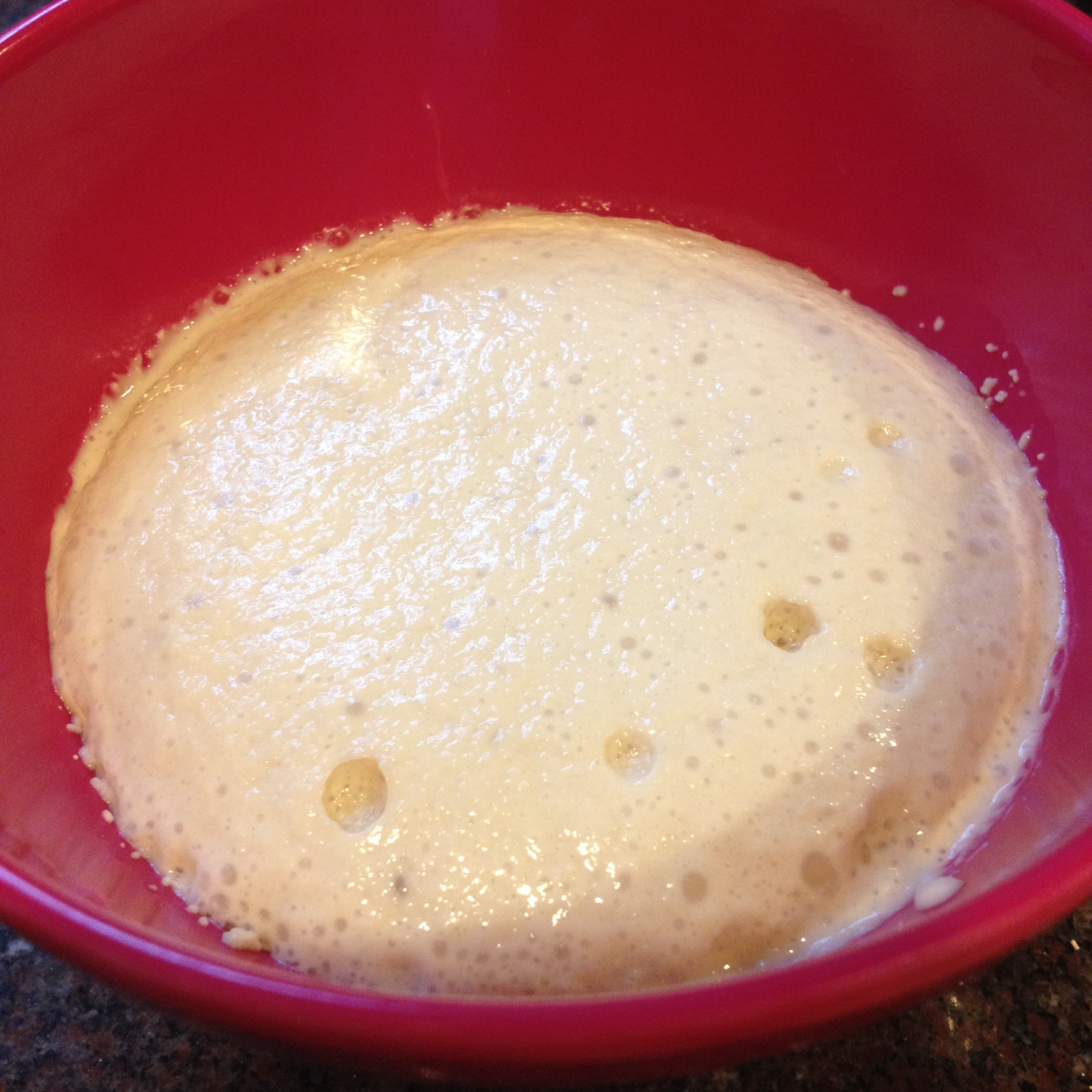 Yeast For Bread
 Activating Yeast for Bread