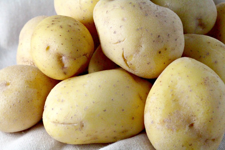 Yukon Gold Mashed Potatoes
 yukon gold potatoes Video Search Engine at Search
