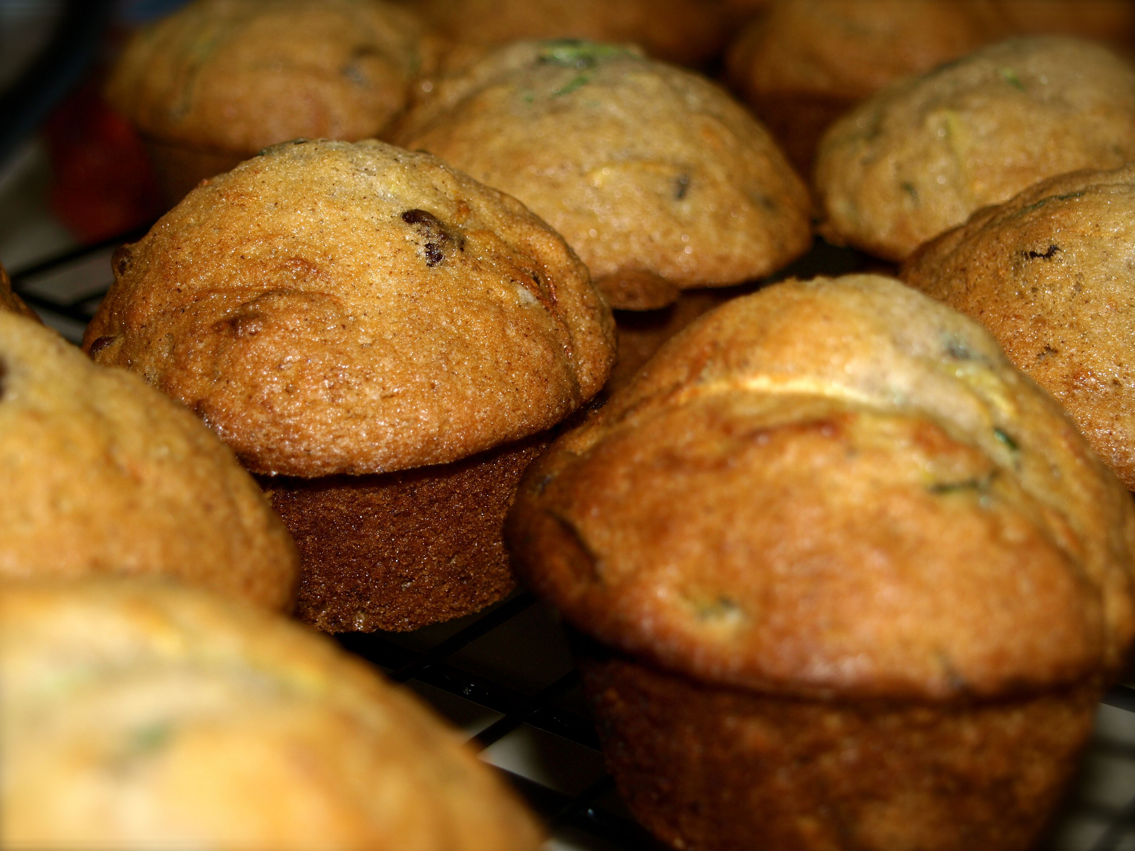 Zucchini Chocolate Chip Muffins
 Zucchini Chocolate Chip Muffins Life In Pleasantville