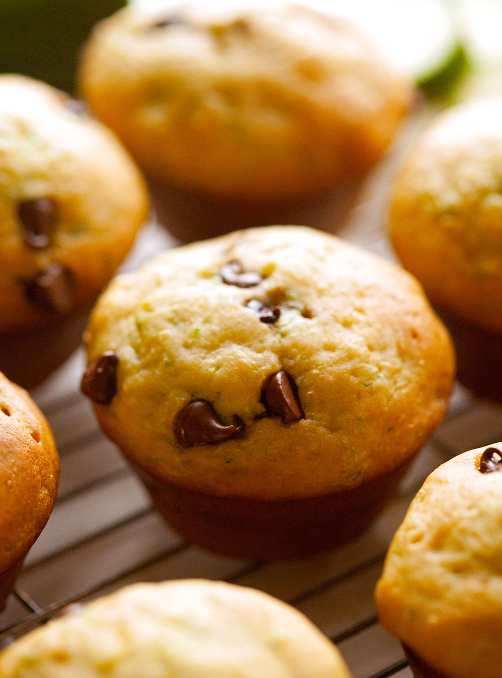 Zucchini Chocolate Chip Muffins
 Zucchini Chocolate Chip Muffins Chef in Training