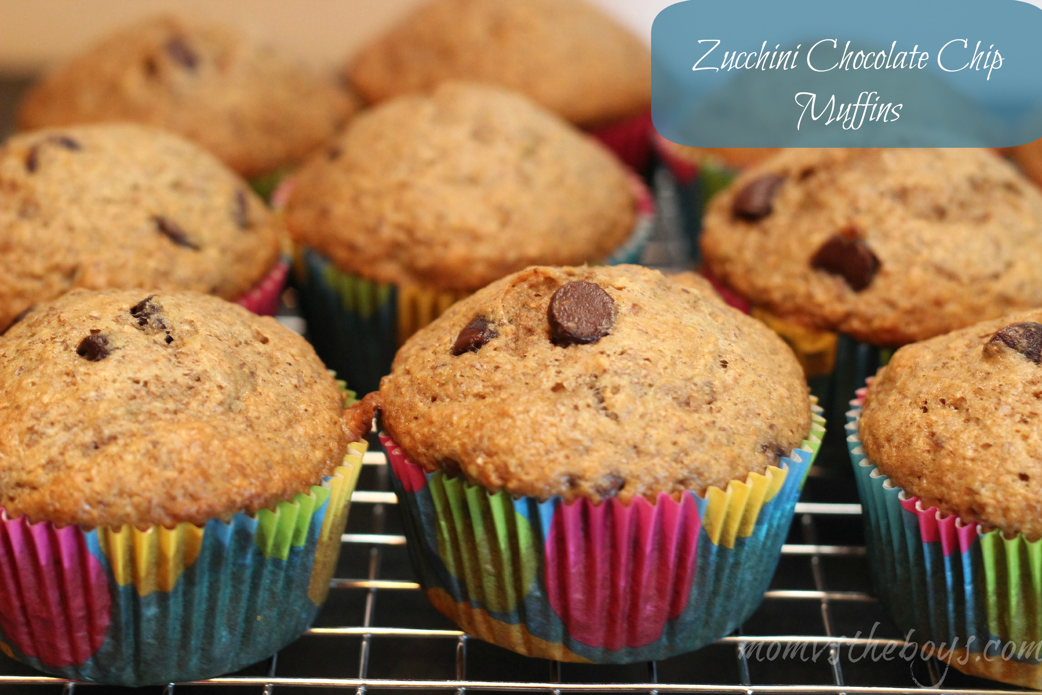 Zucchini Chocolate Chip Muffins
 Zucchini Chocolate Chip Muffins Mom vs the Boys