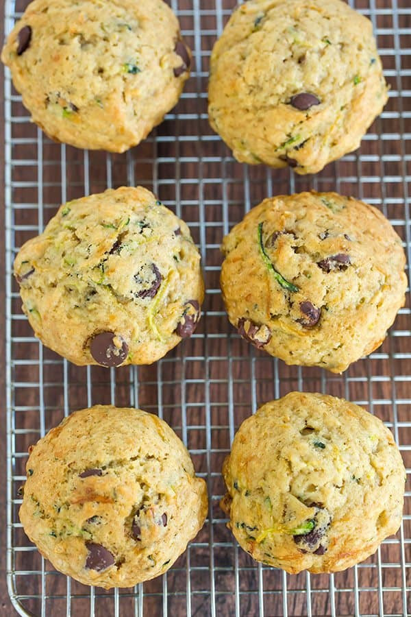 Zucchini Chocolate Chip Muffins
 Zucchini Chocolate Chip Muffins