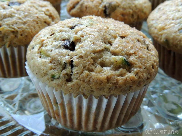 Zucchini Chocolate Chip Muffins
 Zucchini Chocolate Chip Muffins