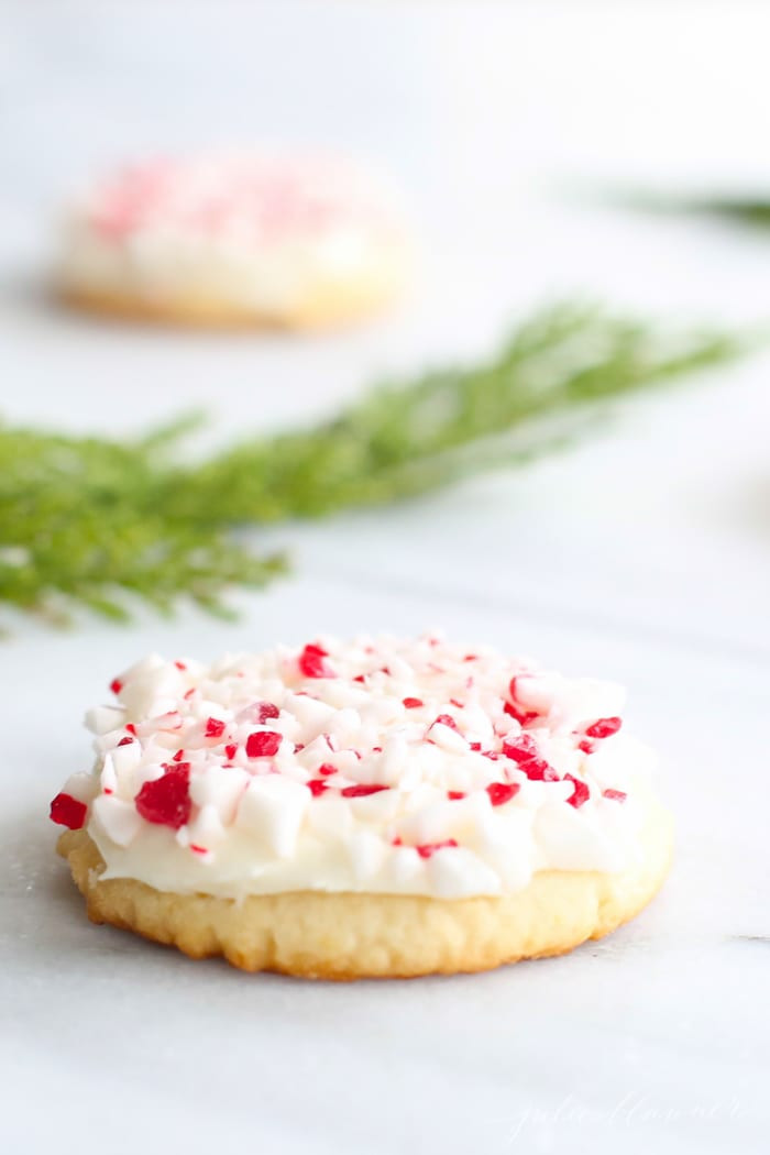 Best Christmas Cookies To Freeze
 30 BEST Freezable Cookies