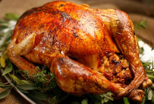 Best Cooked Turkey For Thanksgiving
 Oven Roasted Turkey