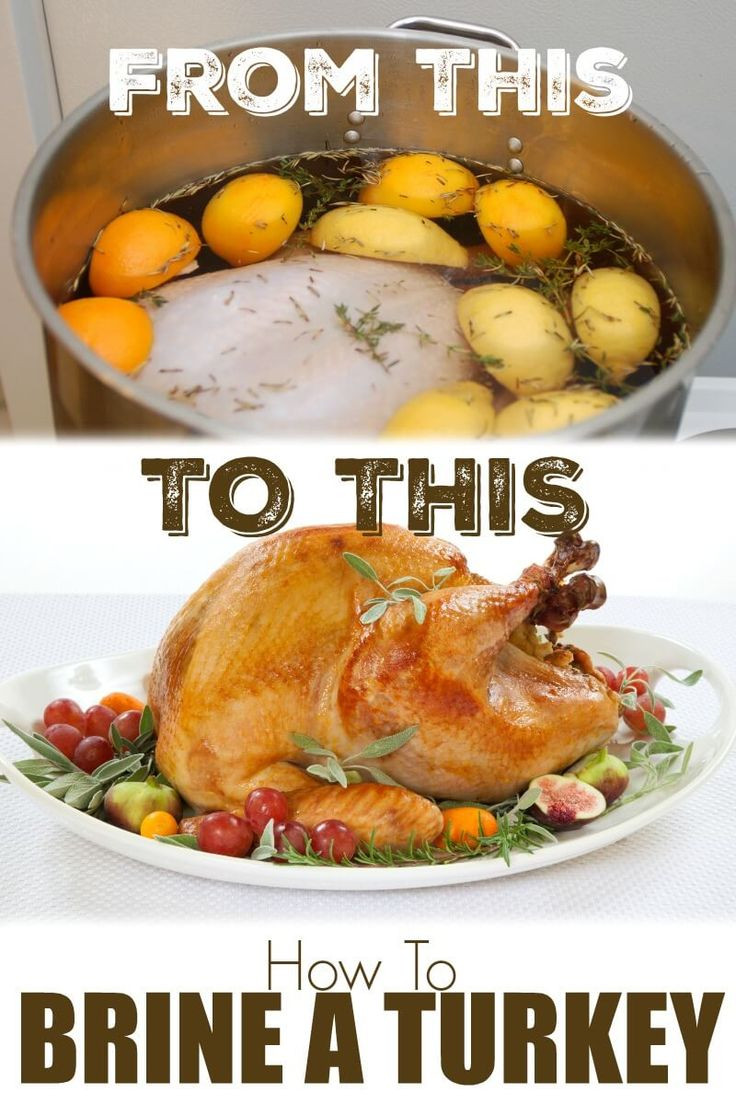Best Turkey Brine Recipe Thanksgiving
 How to Brine a Turkey What is a Brine Brine Recipe for