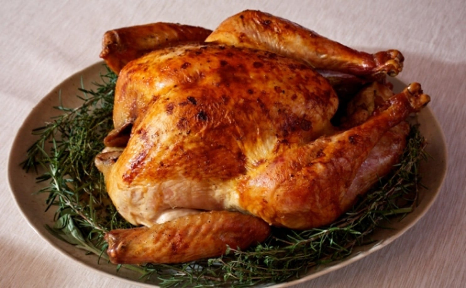 Buy Thanksgiving Turkey
 Thanksgiving FAQs When to and how to store your