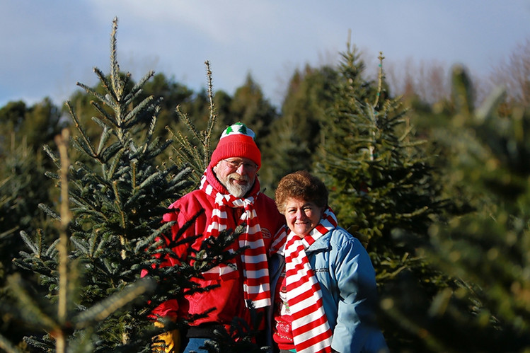 Candy Cane Christmas Tree Farm
 Newer Holiday Firs fer High Performance WSJ