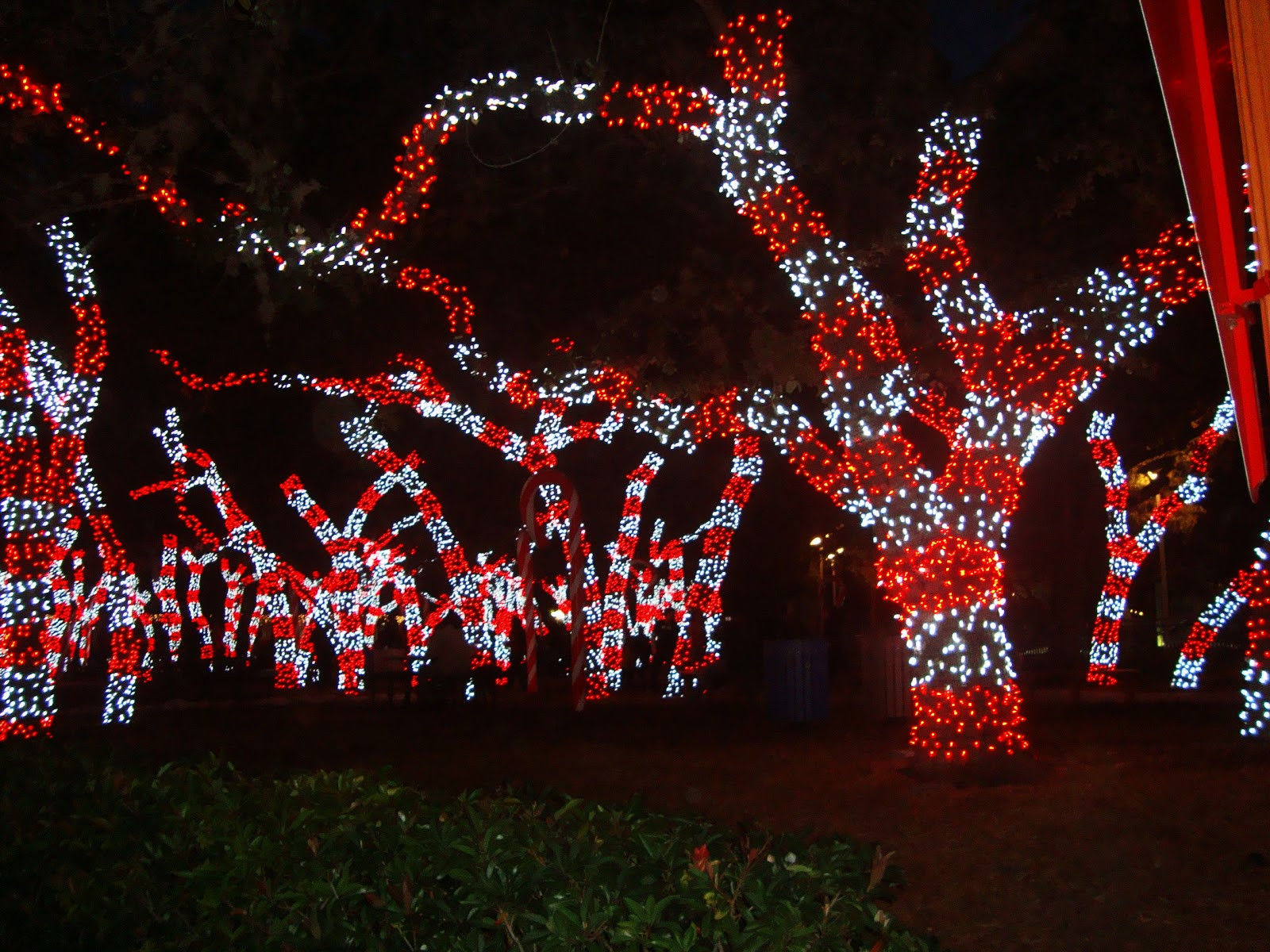 Candy Christmas Lights
 There s Magic Out There SeaWorld San Antonio Christmas