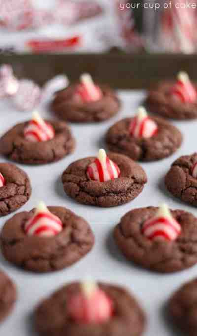 Chocolate Christmas Cookies Recipe
 Candy Cane Kiss Cookies Recipe