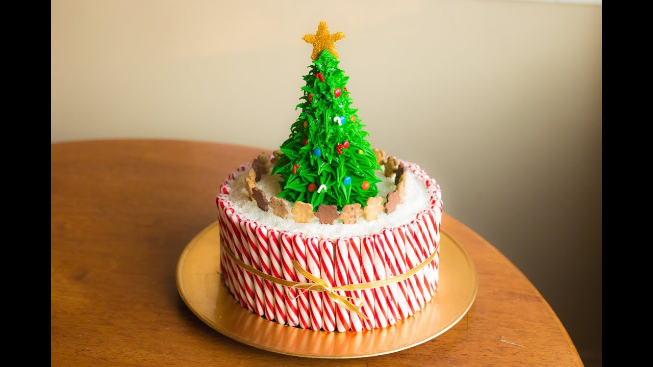 Christmas Cakes Pictures
 How To Make A Christmas Cake