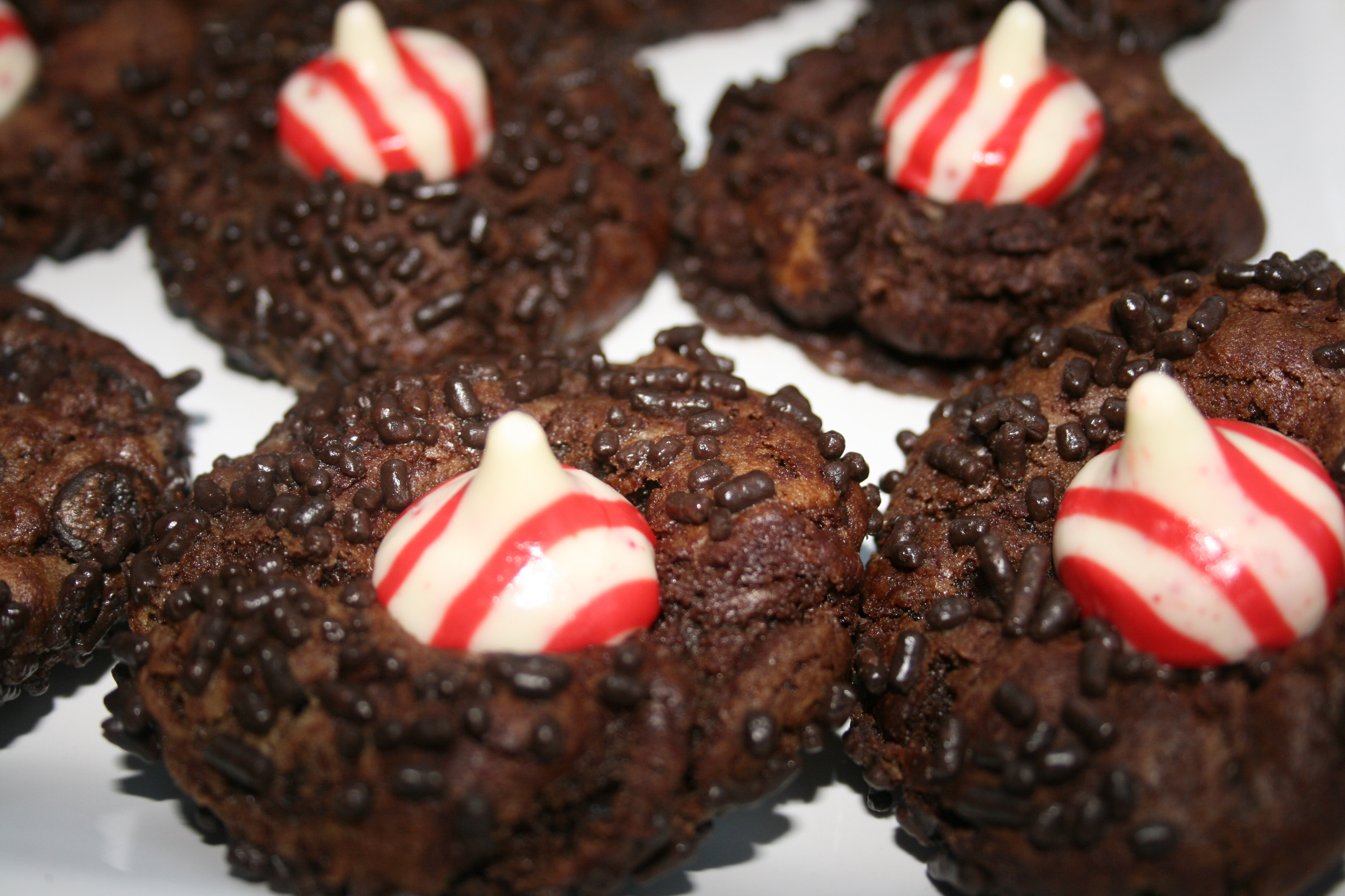 Christmas Cookies And Candies Recipes
 Christmas Cookie Winner Double Chocolate Chip Peppermint