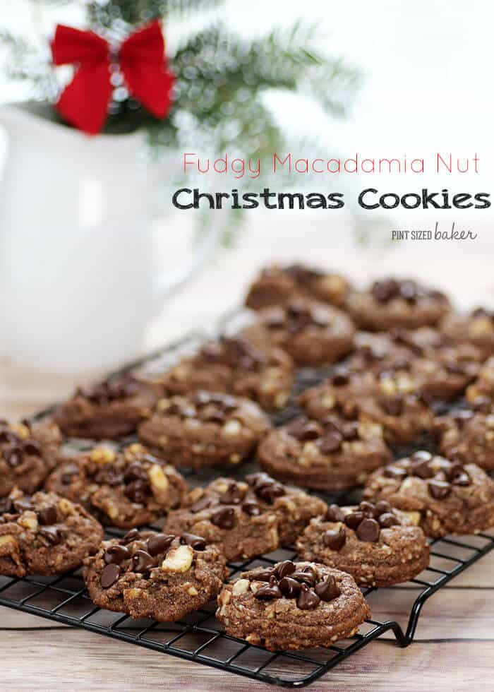 Christmas Cookies With Nuts
 Fudgy Macadamia Nut Christmas Cookies Chocolate