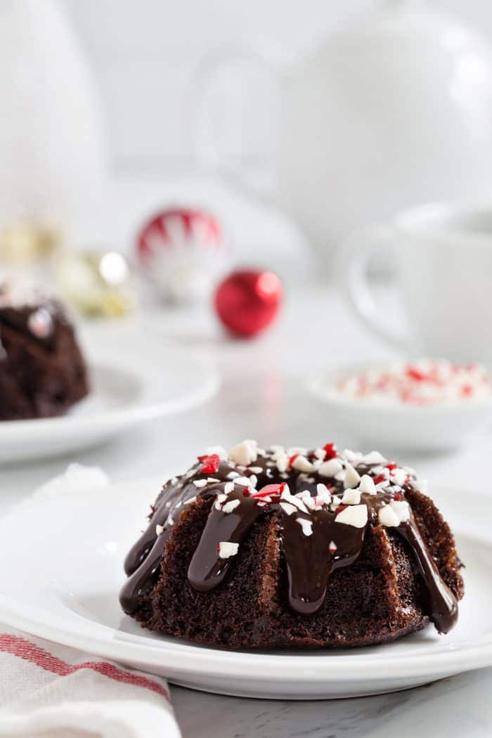 21 Of the Best Ideas for Christmas Mini Bundt Cakes – Best Recipes Ever