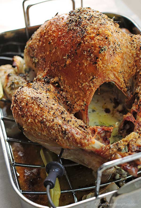 Cook Thanksgiving Turkey
 Mayonnaise Roasted Turkey Recipe