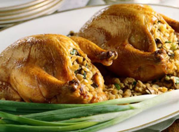 Cornish Hens For Thanksgiving
 Cornish Game Hens With Stuffing Recipe
