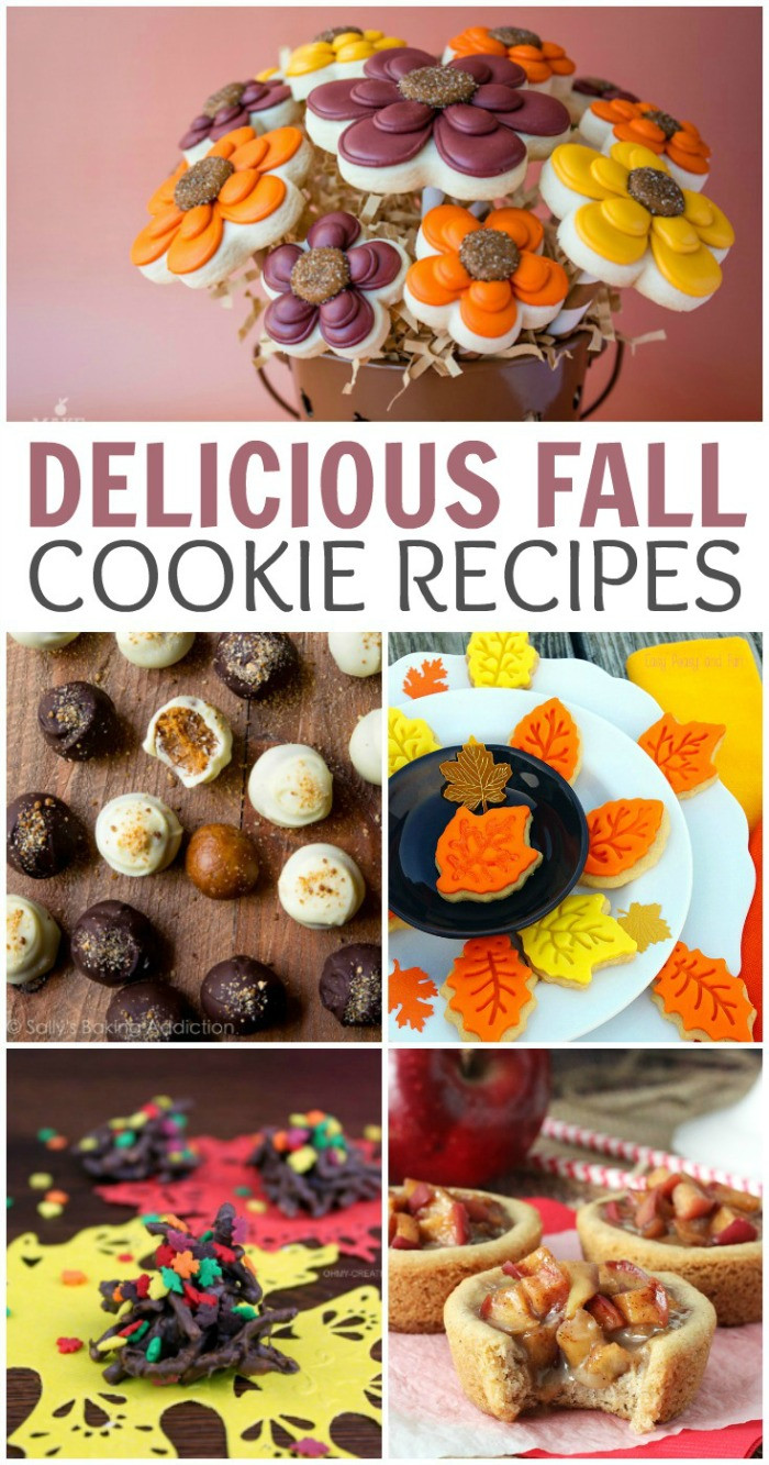 Fall Cookies Recipe
 25 Delicious Fall Cookie Recipes Finding Debra