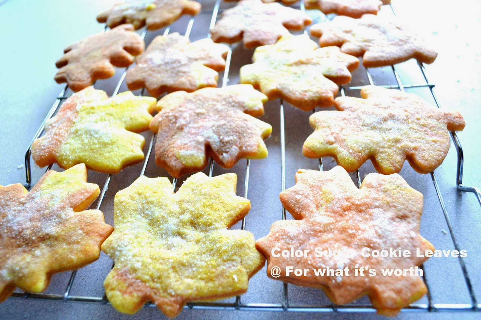 Fall Cut Out Cookies
 Fall leaf cut out cookies For what it s worth