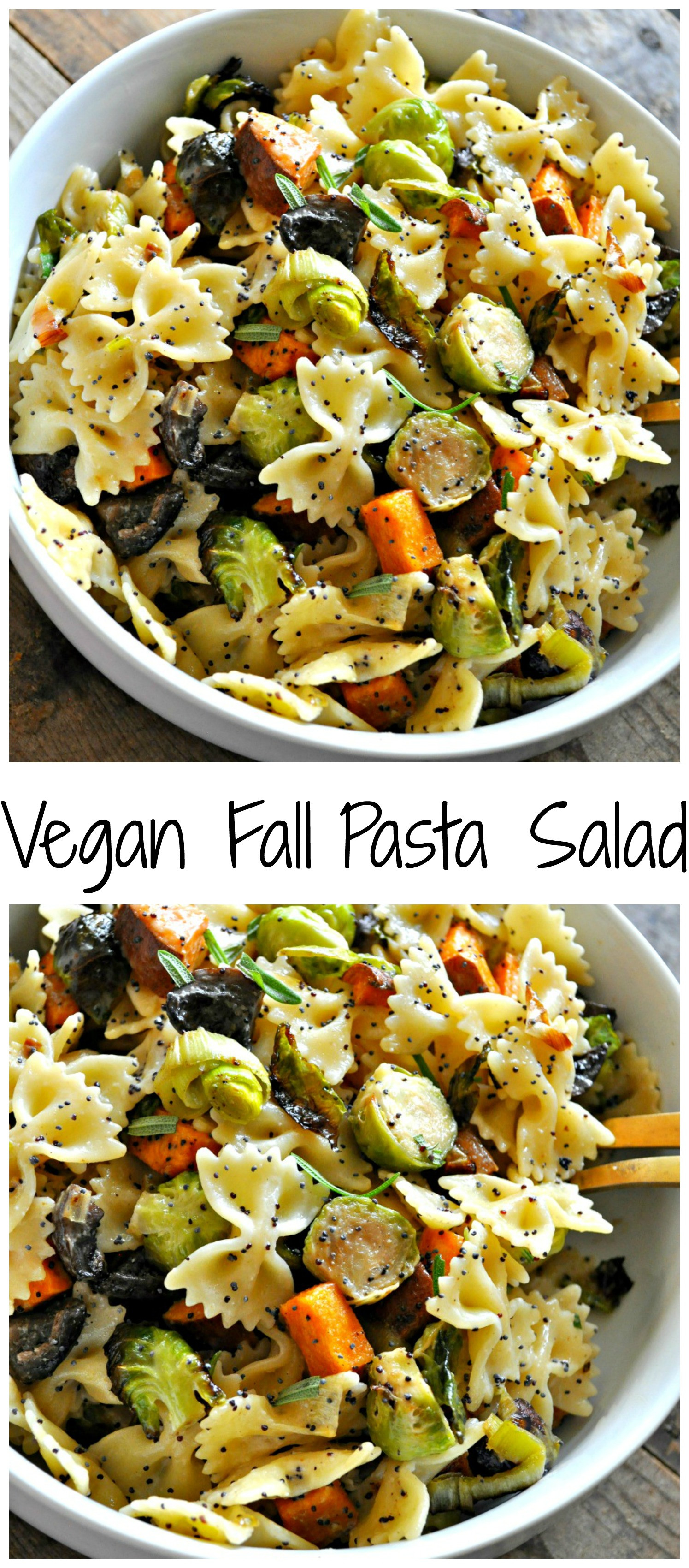 Fall Pasta Salad
 Vegan Fall Pasta Salad Rabbit and Wolves