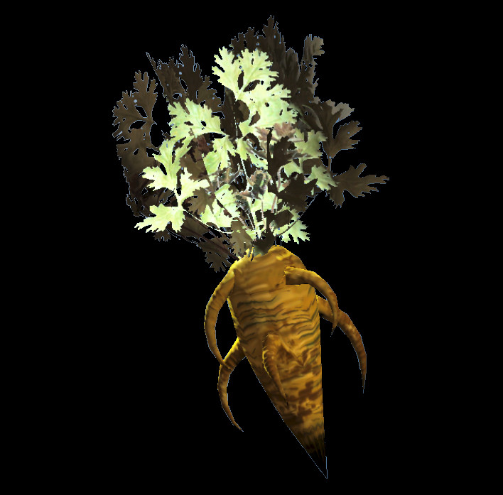 Fallout 4 Carrot Flower
 Plants