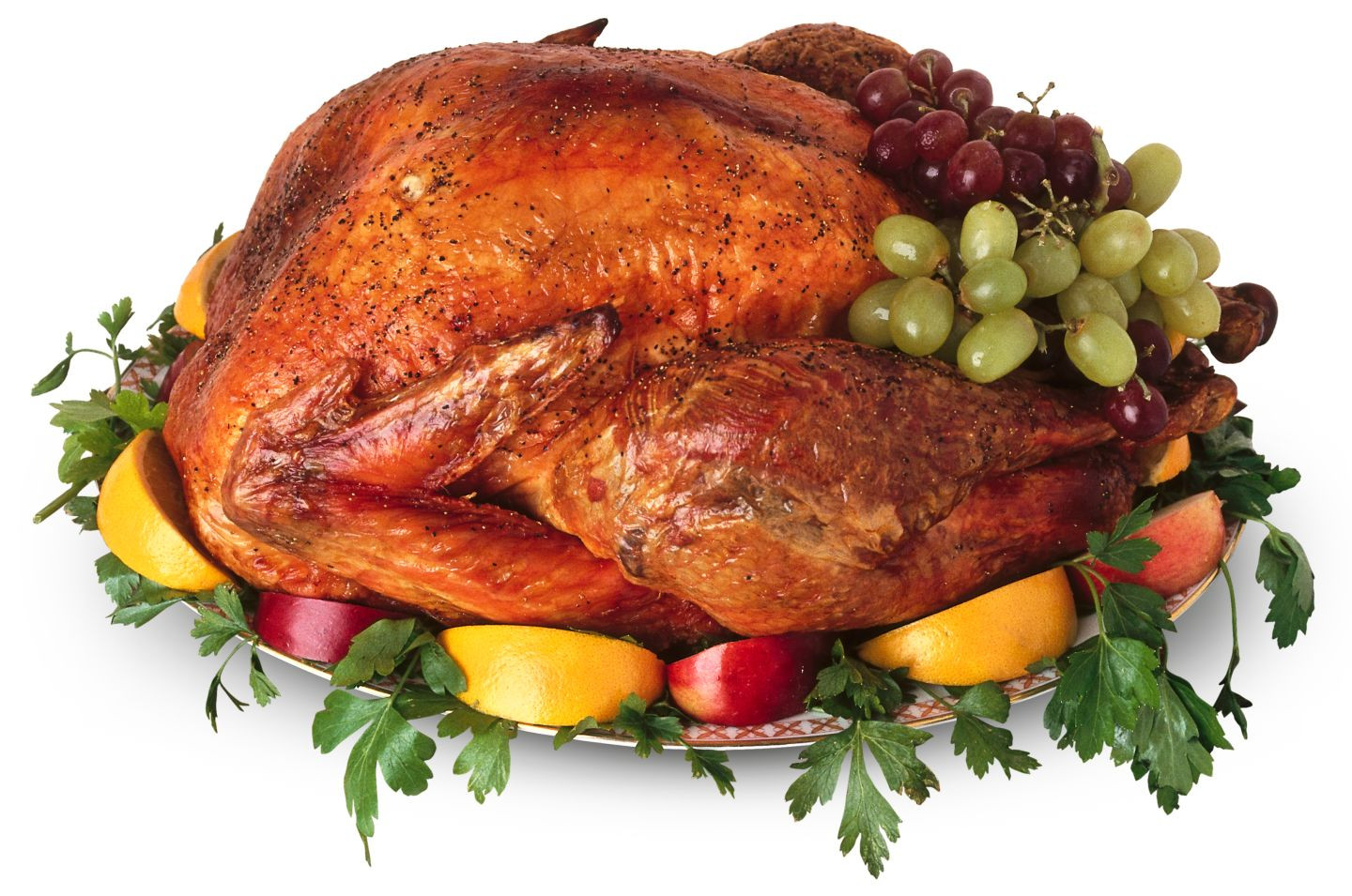 First Thanksgiving Turkey
 Nine facts about the first Thanksgiving in America