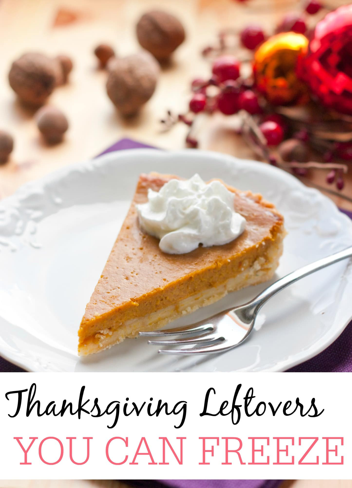 Freezing Thanksgiving Leftovers
 Awesome Tips For Freezing Thanksgiving Leftovers